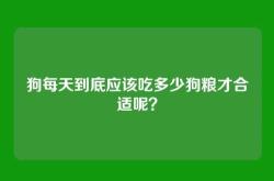 狗每天到底应该吃多少狗粮才合适呢？