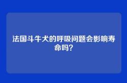 法国斗牛犬的呼吸问题会影响寿命吗？