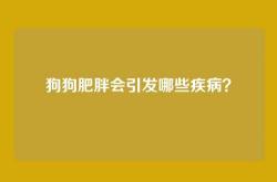 狗狗肥胖会引发哪些疾病？