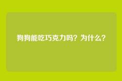 狗狗能吃巧克力吗？为什么？