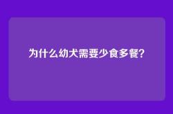 为什么幼犬需要少食多餐？