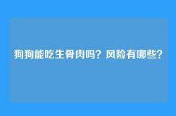 狗狗能吃生骨肉吗？风险有哪些？