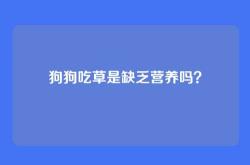 狗狗吃草是缺乏营养吗？