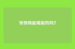宠物狗能喝酸奶吗？