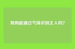 狗狗能通过气味识别主人吗？