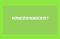 狗狗能感知地震前兆吗？