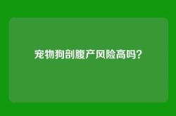宠物狗剖腹产风险高吗？