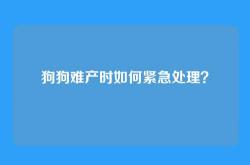 狗狗难产时如何紧急处理？