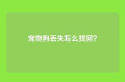 宠物狗丢失怎么找回？