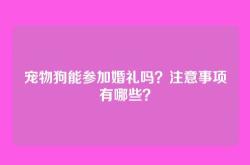 宠物狗能参加婚礼吗？注意事项有哪些？