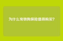 为什么宠物狗保险值得购买？