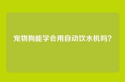 宠物狗能学会用自动饮水机吗？