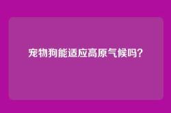 宠物狗能适应高原气候吗？