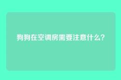 狗狗在空调房需要注意什么？