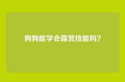 狗狗能学会露营技能吗？