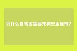 为什么自驾游需要宠物安全座椅？