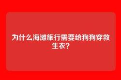 为什么海滩旅行需要给狗狗穿救生衣？