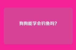 狗狗能学会钓鱼吗？