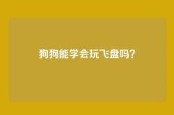 狗狗能学会玩飞盘吗？