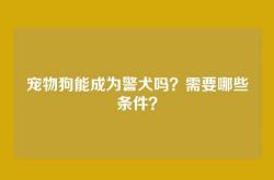 宠物狗能成为警犬吗？需要哪些条件？