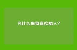 为什么狗狗喜欢舔人？