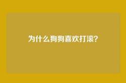 为什么狗狗喜欢打滚？