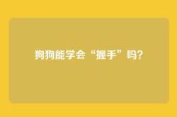 狗狗能学会“握手”吗？