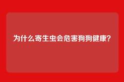 为什么寄生虫会危害狗狗健康？