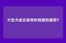 大型犬适合家养的有哪些推荐？