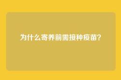 为什么寄养前需接种疫苗？