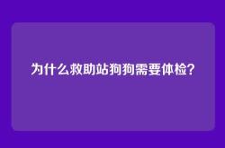 为什么救助站狗狗需要体检？