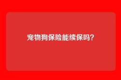 宠物狗保险能续保吗？