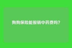 狗狗保险能报销中药费吗？