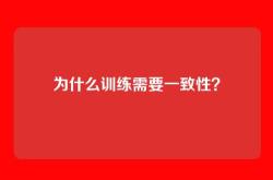 为什么训练需要一致性？