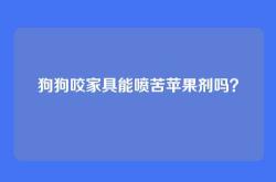狗狗咬家具能喷苦苹果剂吗？
