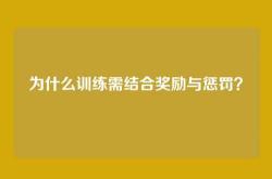 为什么训练需结合奖励与惩罚？