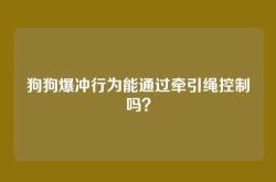 狗狗爆冲行为能通过牵引绳控制吗？