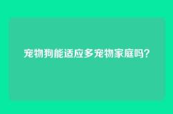 宠物狗能适应多宠物家庭吗？