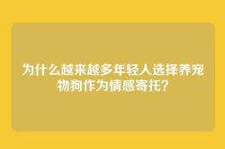 为什么越来越多年轻人选择养宠物狗作为情感寄托？