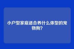 小户型家庭适合养什么体型的宠物狗？