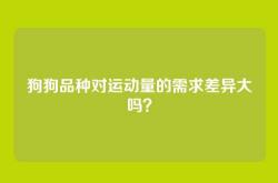 狗狗品种对运动量的需求差异大吗？