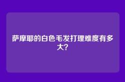 萨摩耶的白色毛发打理难度有多大？