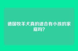 德国牧羊犬真的适合有小孩的家庭吗？