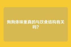 狗狗体味重真的与饮食结构有关吗？