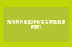 宠物狗体重超标会引发哪些健康问题？