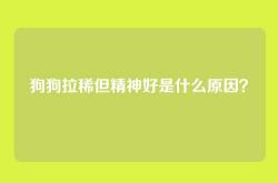 狗狗拉稀但精神好是什么原因？