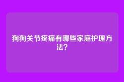 狗狗关节疼痛有哪些家庭护理方法？