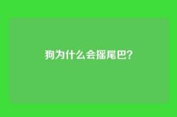 狗为什么会摇尾巴？