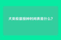 犬类疫苗接种时间表是什么？