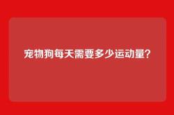 宠物狗每天需要多少运动量？